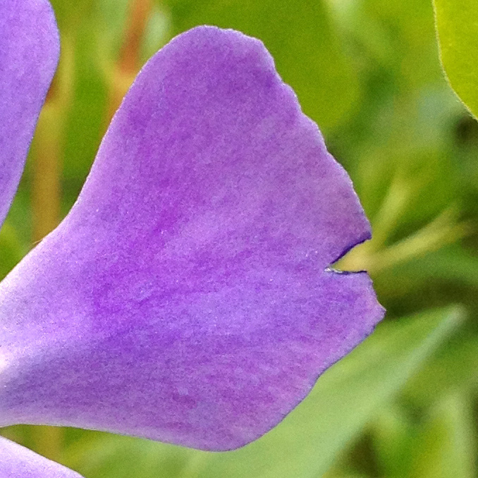 FIORE 645 PRO CROP (3).jpg