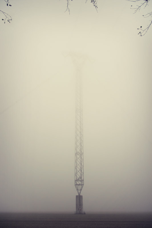 fog 5.jpeg