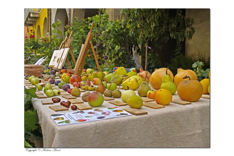 frutta.jpg