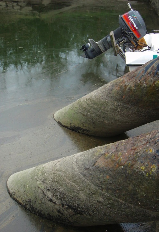 fuoribordo e idrovora.jpeg