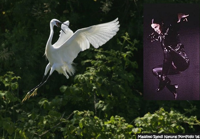 GARZETTA VS TRINITY.jpg