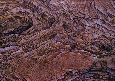 HAAS Scan1910080021.JPG