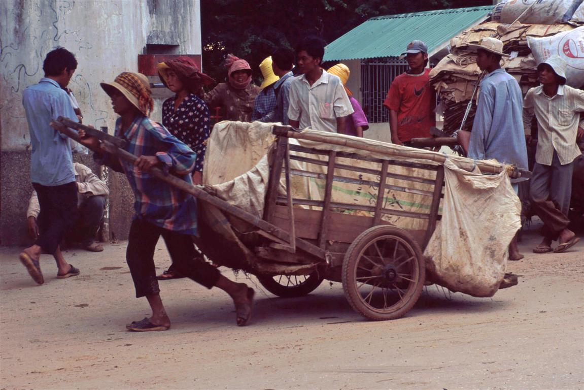 image304 (Medium).jpg