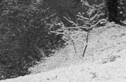 img1lu.jpg