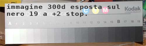 img300d-7dtest.jpg