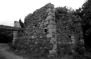 img370.jpg