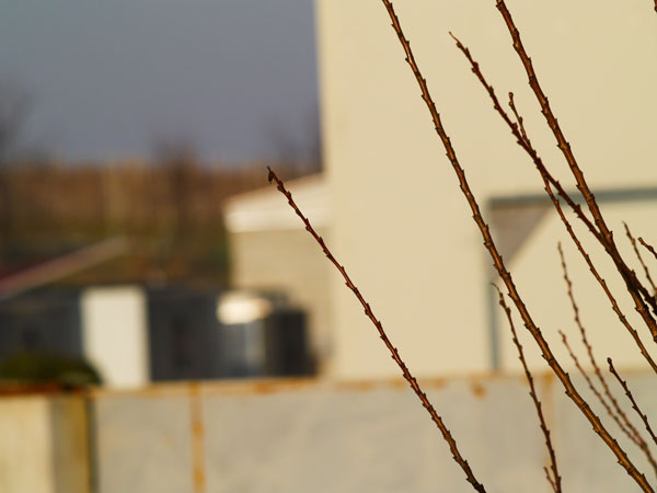 img3_e300_150mm_f4.jpg