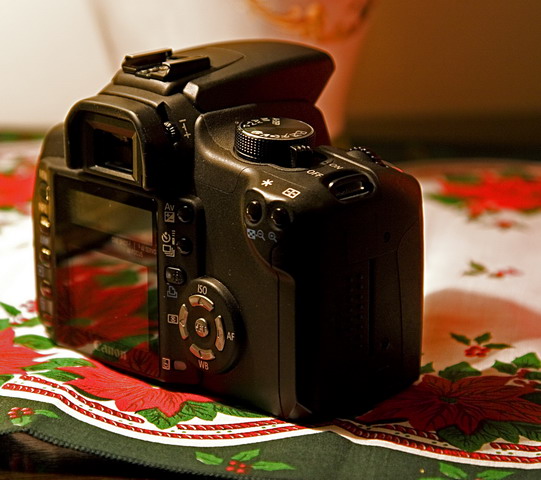 IMG_0015_resize.jpg