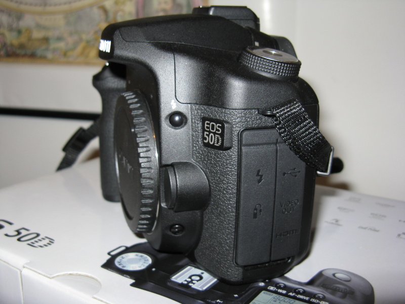 IMG_0060small.JPG