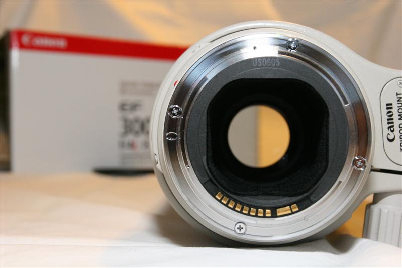 IMG_0243 (Medium).JPG