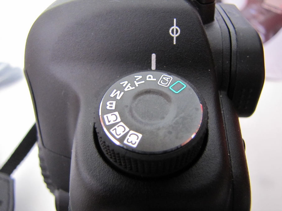 IMG_1246_resize.JPG