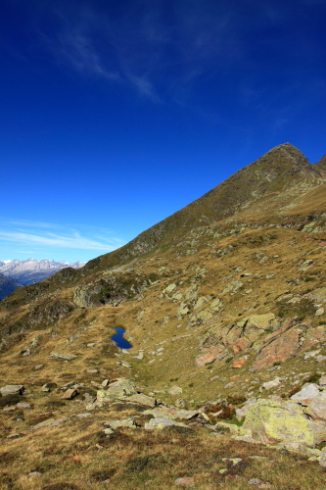 IMG_1286.dpp.forum.JPG