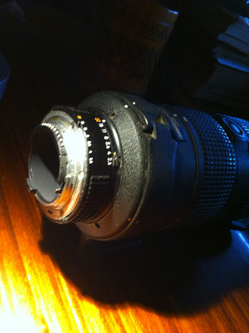 IMG_1449web.jpg