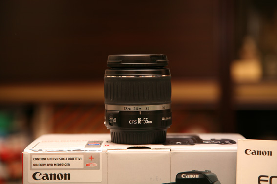 IMG_1676_1.jpg