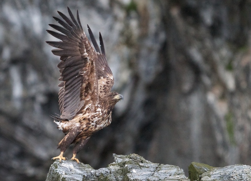 IMG_3483 - Version 4 (1).jpg