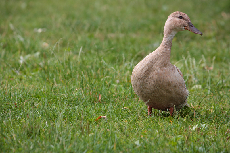 IMG_4327_rid.jpg