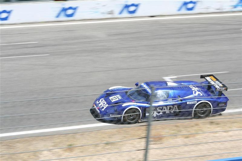 IMG_4846 (Large) (Medium).jpg