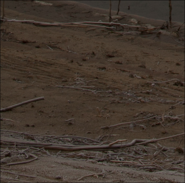 IMG_5294 corner basso sx.jpg