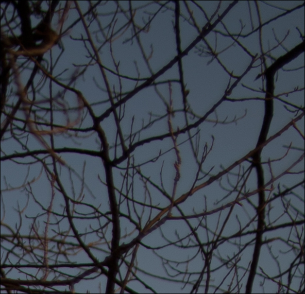 IMG_5347 corner alto dx.jpg