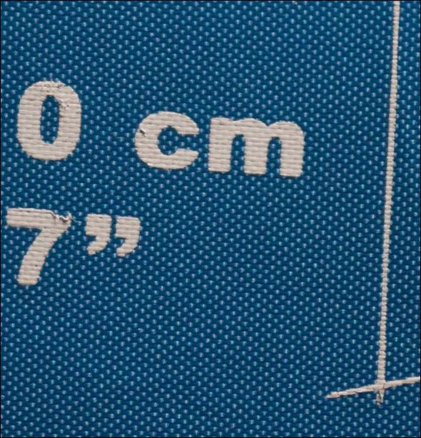 IMG_5464 crop 100% 800Iso.jpg