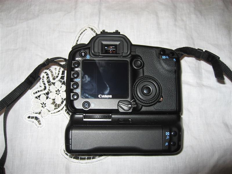 IMG_6907 (Medium).JPG