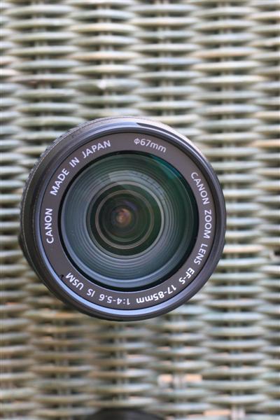 IMG_7447 (Medium).JPG