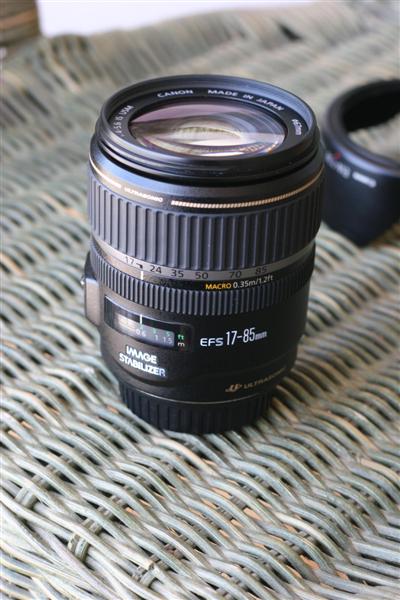 IMG_7449 (Medium).JPG