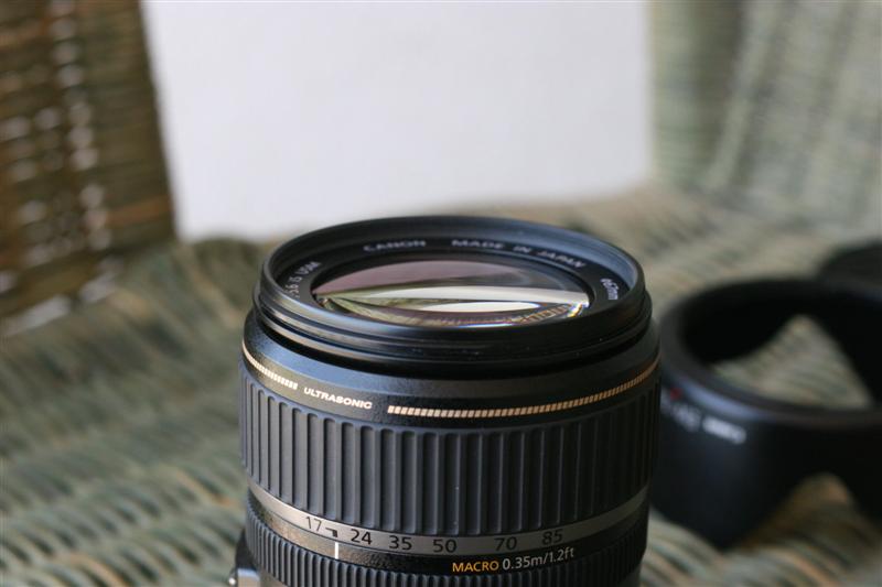 IMG_7450 (Medium).JPG