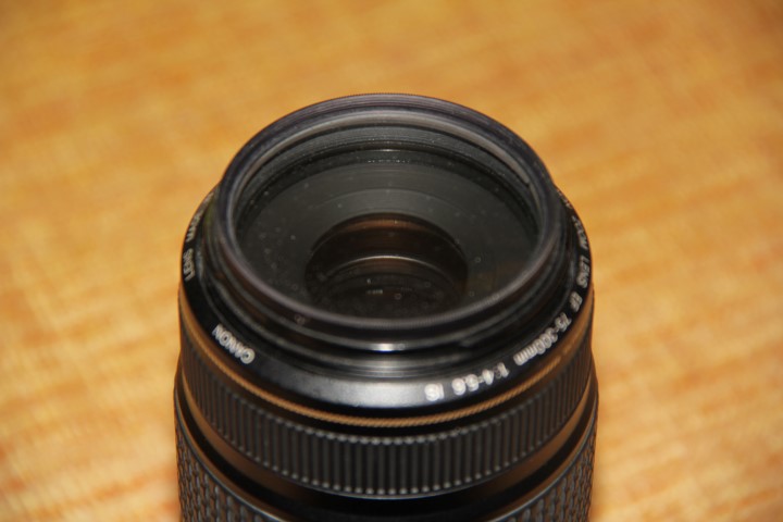 IMG_7595 (Small).JPG