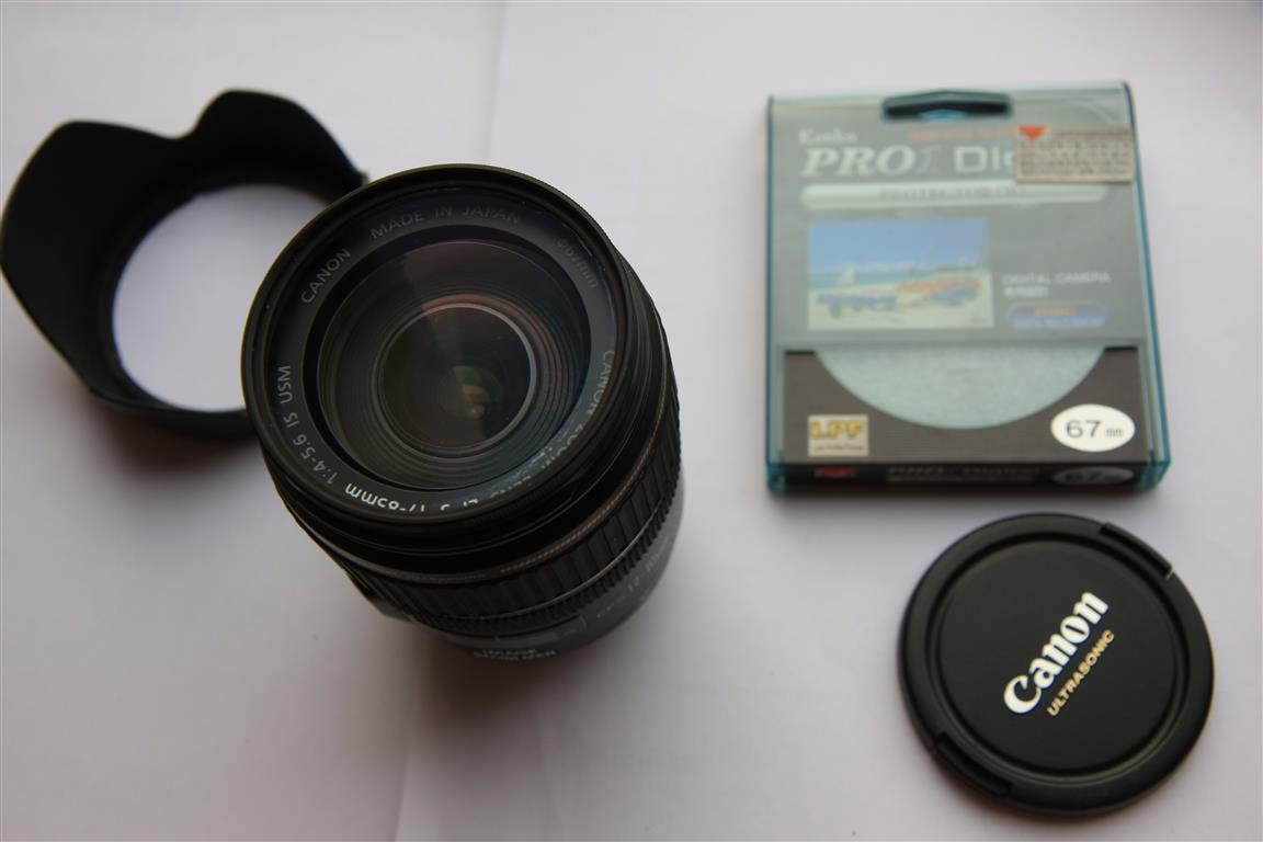 IMG_8728 (Medium).JPG