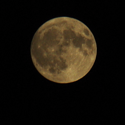 imgp0393.jpg