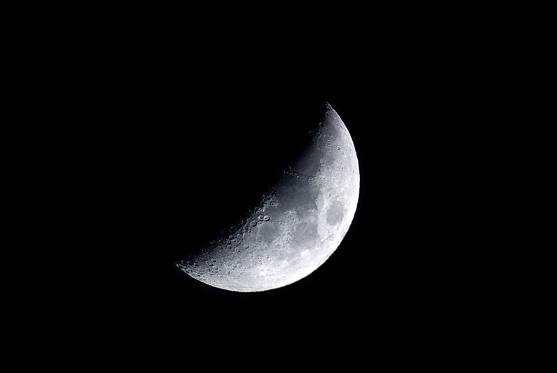 IMGP0809b.jpg