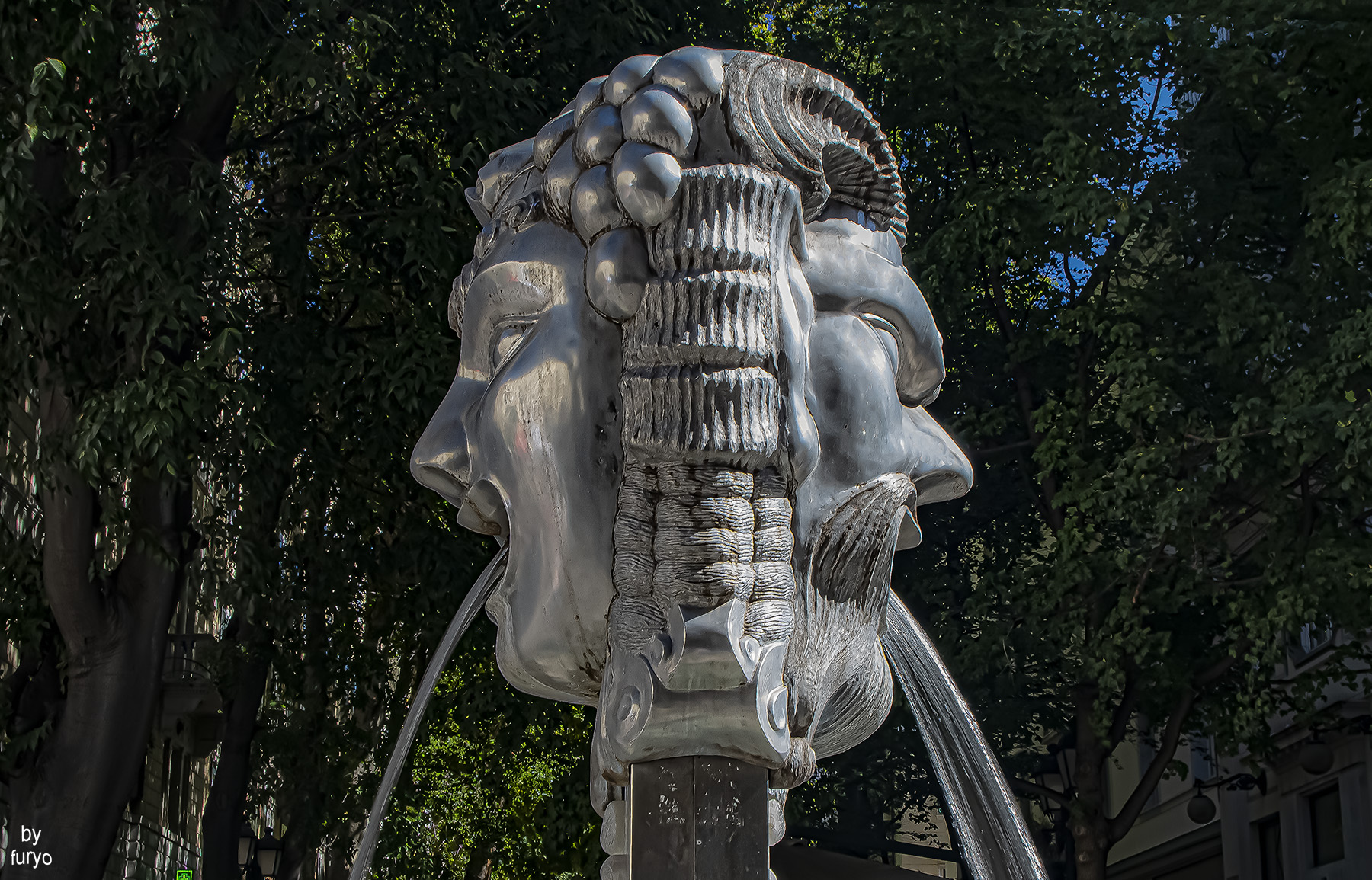 IMGP3241a.jpg