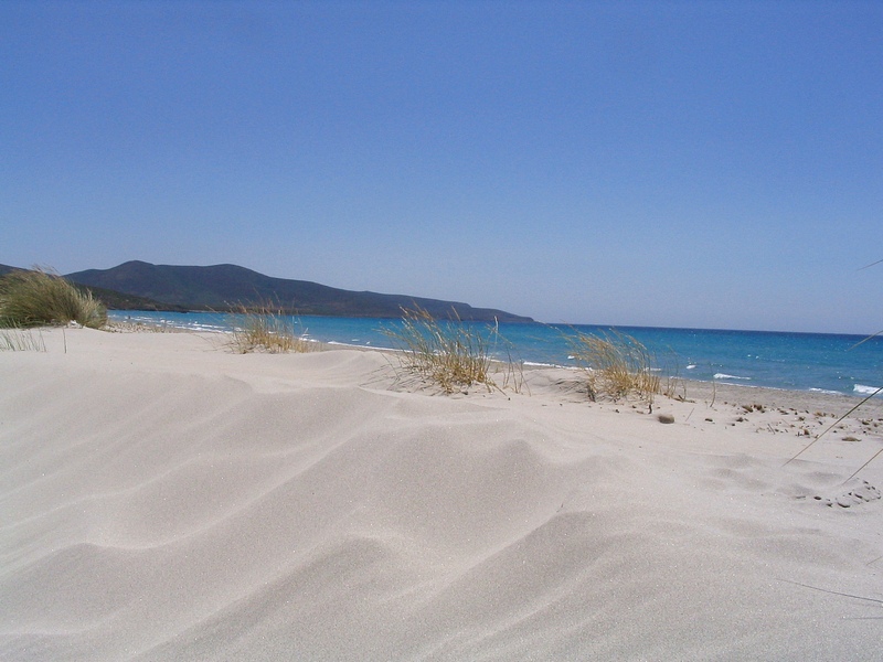 Immagine 091flk.jpg