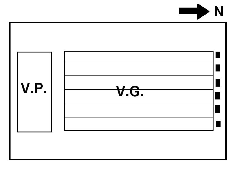 Immagine.JPG