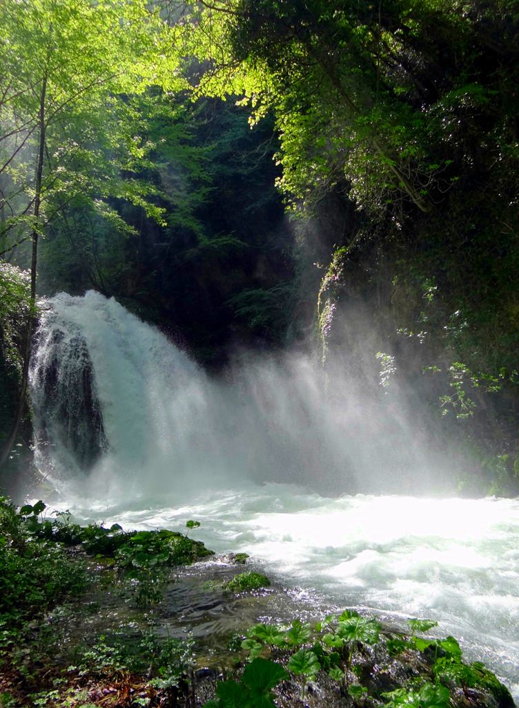 incanto prova con Photo Scape1.JPG