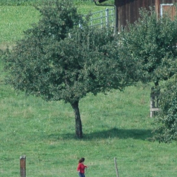 iso400.JPG