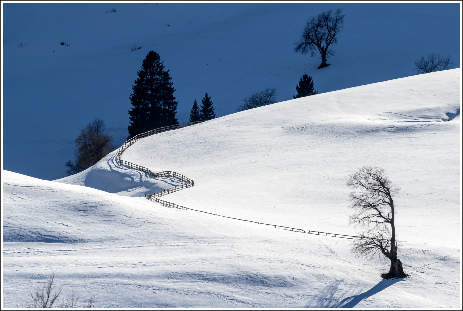 Ivo-7D_02278 RAW.jpg