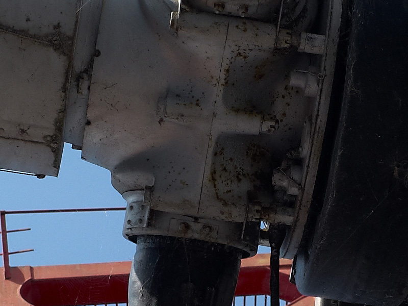 L1030019C1.jpg