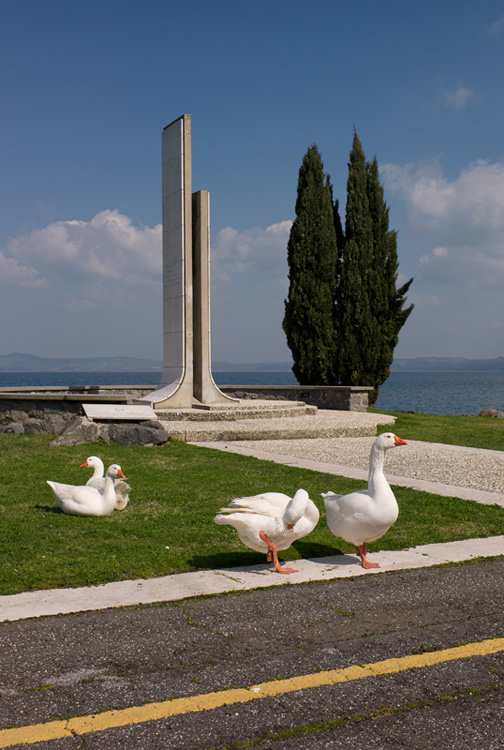 L1030022.jpg