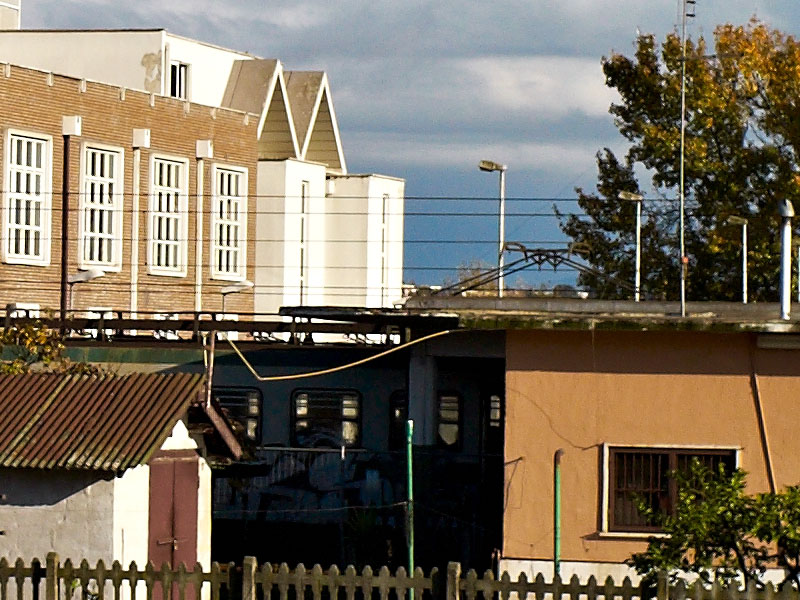 L1030380_crop.jpg