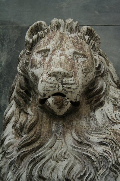 Leone.jpg