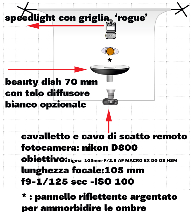lighting-diagram-1460962321.jpg