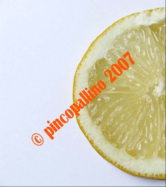 limone copy.jpg
