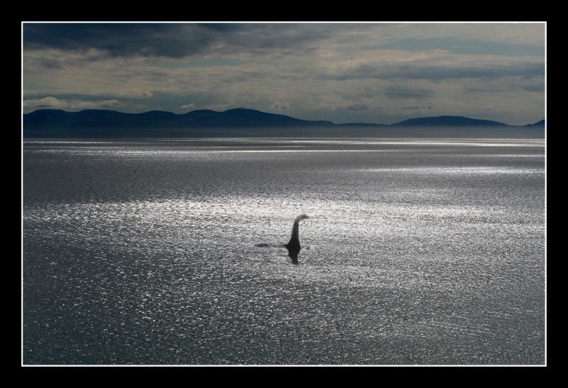 lochness3.jpg