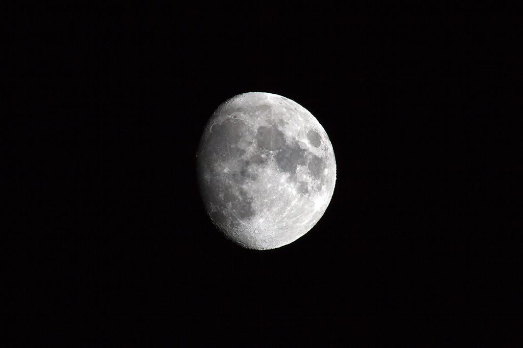 Luna-100-400-2x.jpg