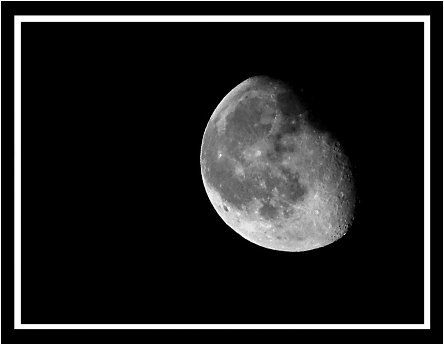 luna.jpg