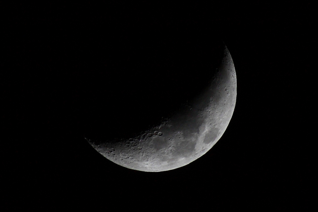 Luna_crop100.jpg