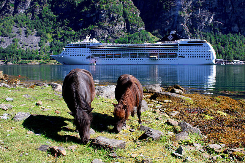 MALEDETTA BOLLA!!.jpg