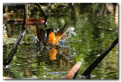 martintuffo post.jpg